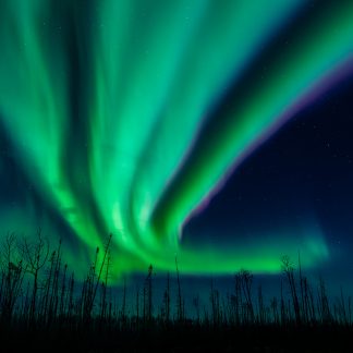 Northern Lights, Aurora Borealis, Fort McMurray Sky, RMWB aurora