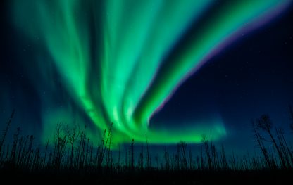 Northern Lights, Aurora Borealis, Fort McMurray Sky, RMWB aurora