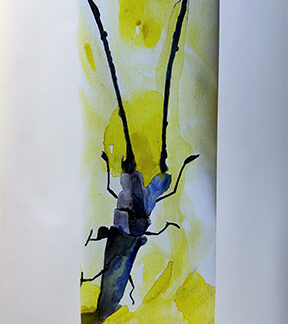 acrylic abstract painting of a tar sand beetle
